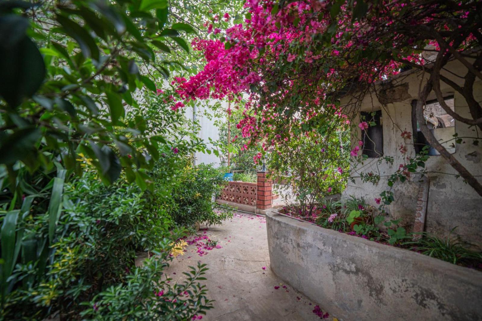 Central House With Beautiful Garden Амман Экстерьер фото